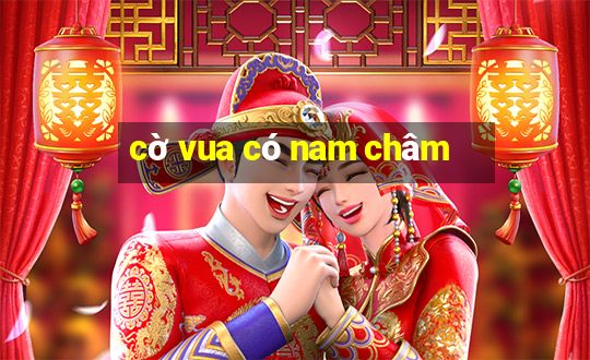 cờ vua có nam châm