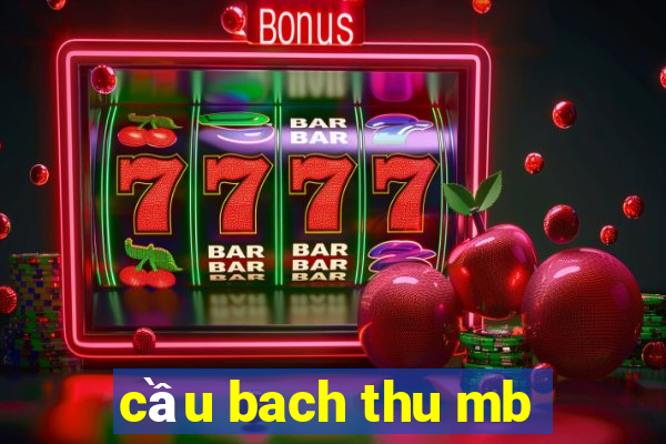 cầu bach thu mb