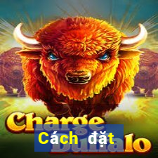 Cách đặt cược XSCM ngày 5