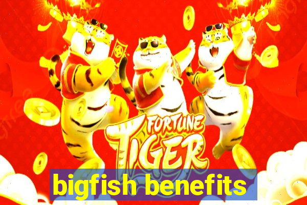 bigfish benefits