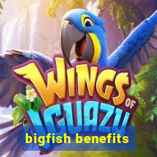 bigfish benefits