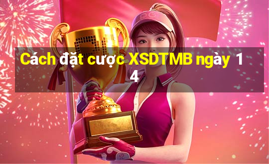 Cách đặt cược XSDTMB ngày 14