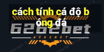 cách tính cá độ bóng đá