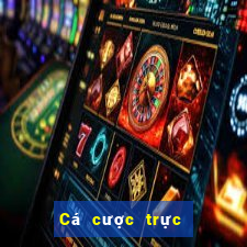 Cá cược trực tuyến wsmcasino