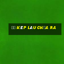 đề kép lâu chưa ra