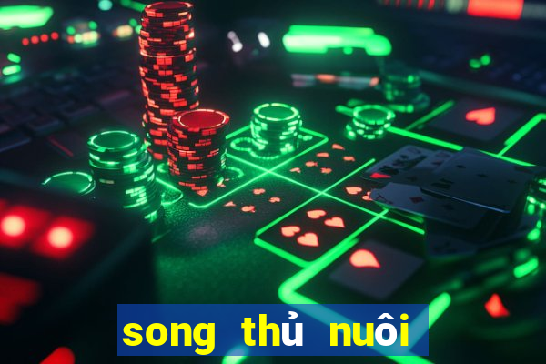 song thủ nuôi khung 3 ngày