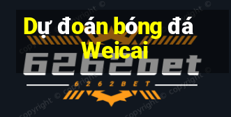 Dự đoán bóng đá Weicai