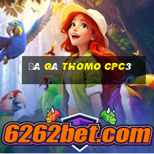 đá gà thomo cpc3