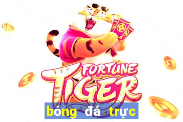 bóng đá trực tuyến trandautv