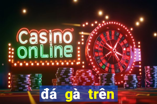 đá gà trên mạng casino