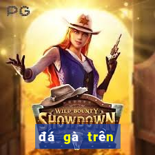 đá gà trên mạng casino