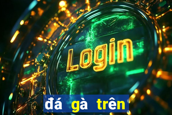 đá gà trên mạng casino