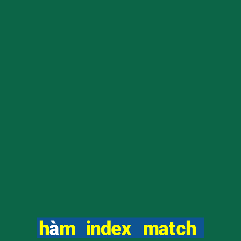 hàm index match trong excel