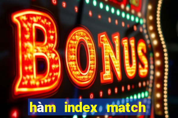 hàm index match trong excel