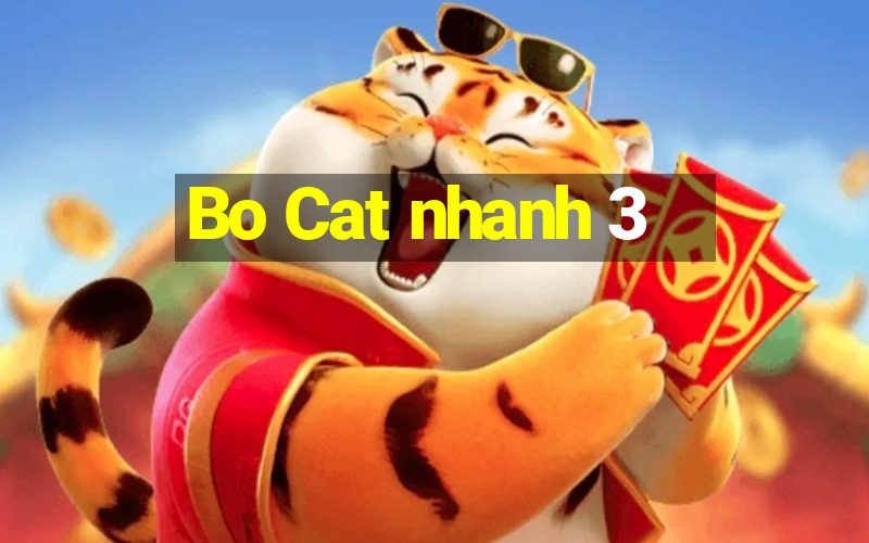 Bo Cat nhanh 3