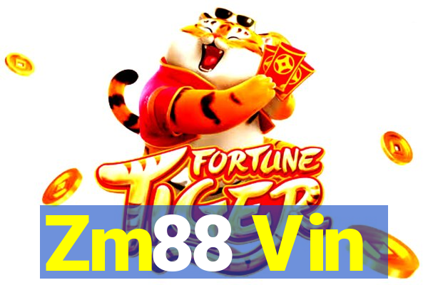 Zm88 Vin