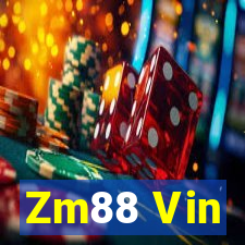 Zm88 Vin