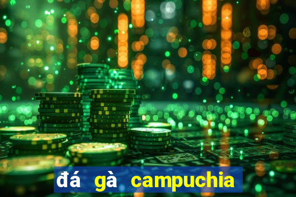 đá gà campuchia ngày hôm nay