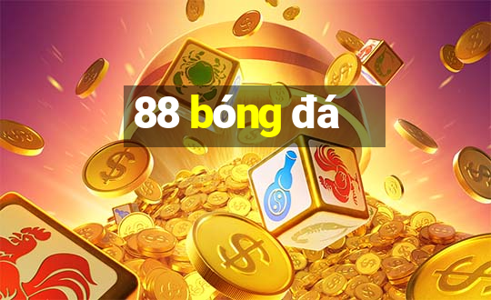 88 bóng đá