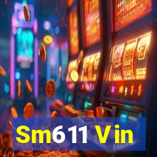 Sm611 Vin