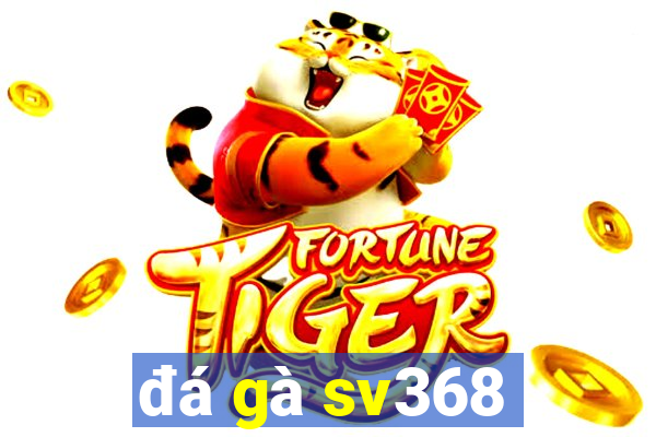 đá gà sv368