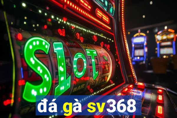 đá gà sv368