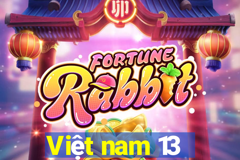 Việt nam 13