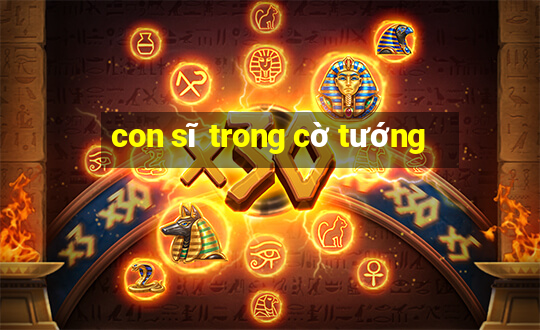 con sĩ trong cờ tướng