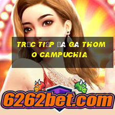 trực tiếp đá gà thomo campuchia