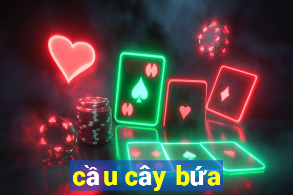 cầu cây bứa