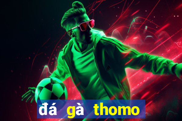 đá gà thomo trận 28 hôm qua