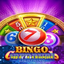 app dự đoán blackjack