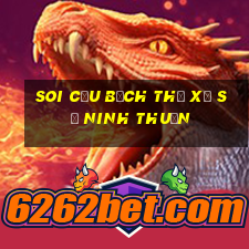 soi cầu bạch thủ xổ số ninh thuận