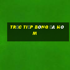 trực tiếp bóng đá hôm