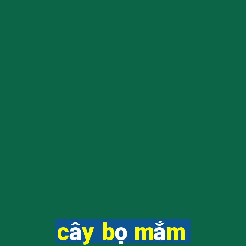 cây bọ mắm