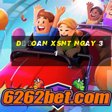 Dự đoán XSNT ngày 31