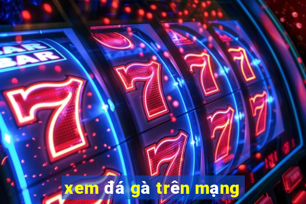 xem đá gà trên mạng