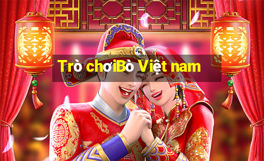 Trò chơiBò Việt nam