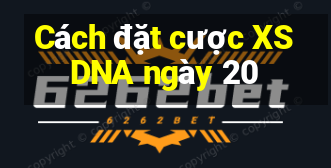 Cách đặt cược XSDNA ngày 20