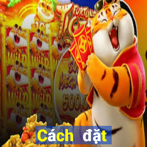 Cách đặt cược XSDNA ngày 20