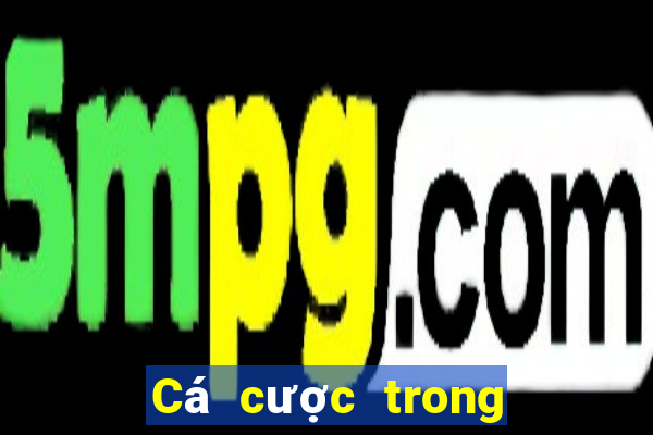 Cá cược trong cá cược bóng đá