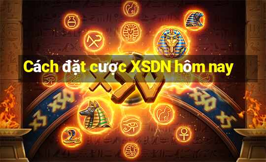 Cách đặt cược XSDN hôm nay