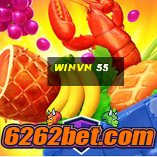 winvn 55