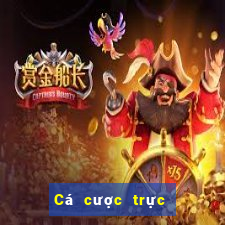 Cá cược trực tuyến vn88