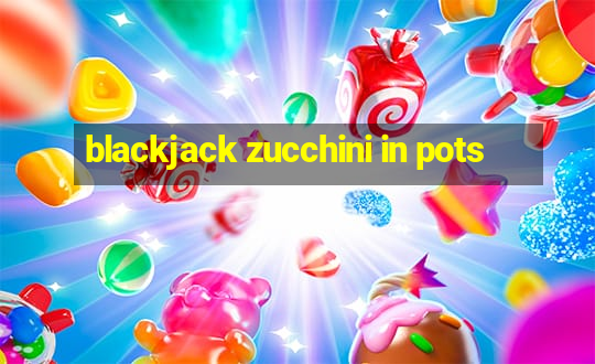 blackjack zucchini in pots