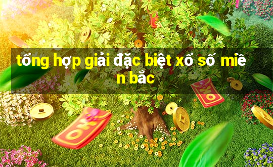 tổng hợp giải đặc biệt xổ số miền bắc