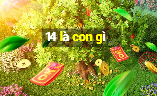 14 là con gì