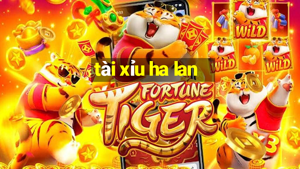 tài xỉu ha lan