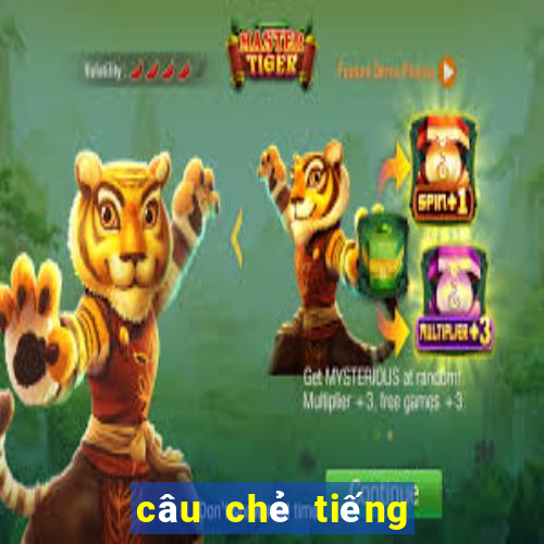 câu chẻ tiếng anh 11