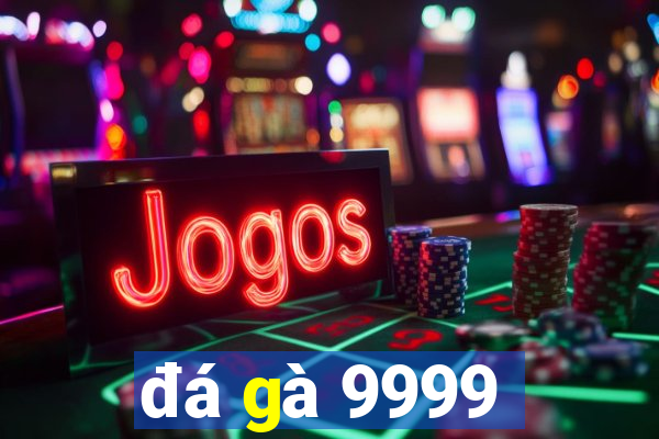 đá gà 9999